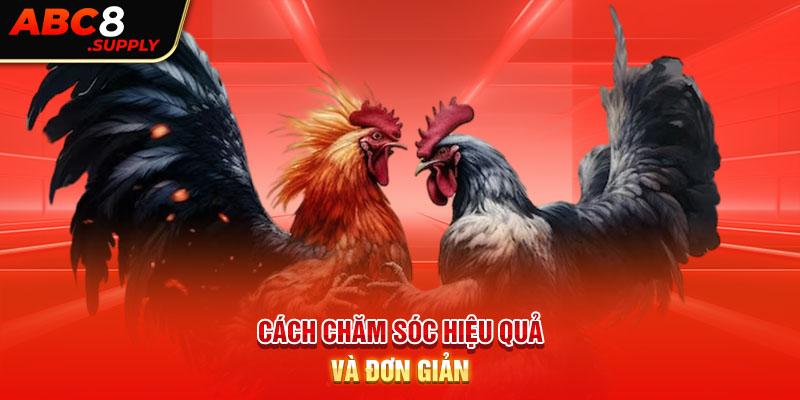 Cách chăm sóc hiệu quả và đơn giản