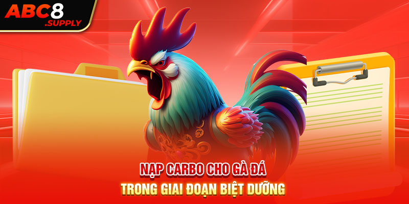 Nạp carbo cho gà đá trong giai đoạn biệt dưỡng